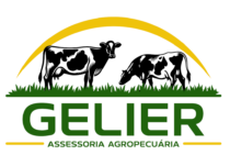 Gelier